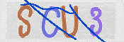 Obrazek CAPTCHA